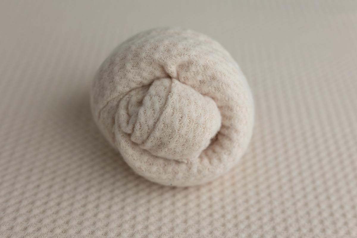 Cozy Cream